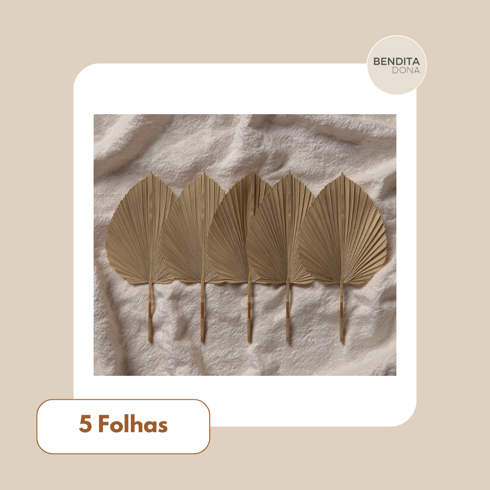 Folhas de Palmeira Secas Naturais 5 Peças - Boho Decor