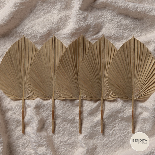 Folhas de Palmeira Secas Naturais 5 Peças - Boho Decor