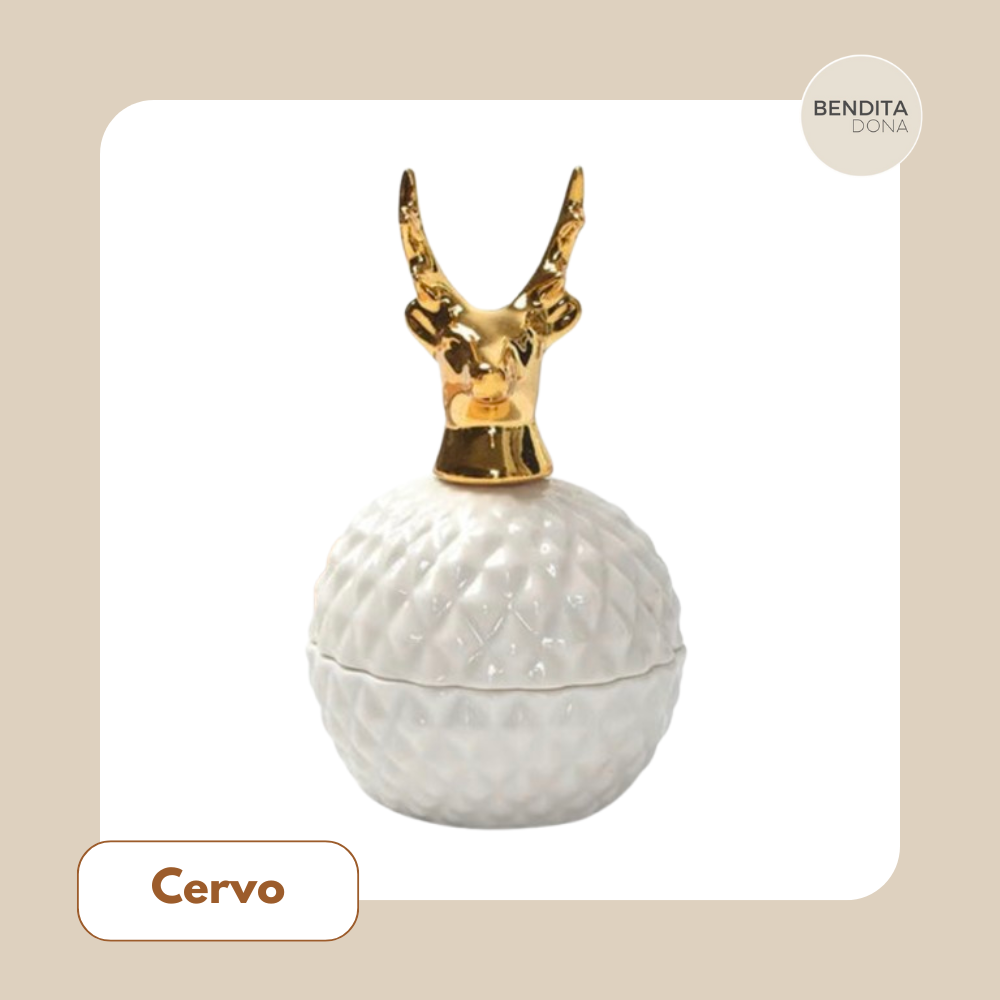 Pote de Cerâmica Estilo Europeu - Nook