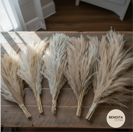 Buquê de Capim dos Pampas Natural e Desidratado - Canyon