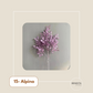 Buquê Floral Permanente – Violet