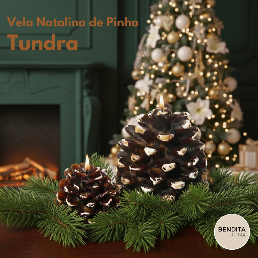 Vela Natalina de Pinha – Tundra