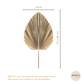 Folha de Palmeira Seca Natural - Boho Decor
