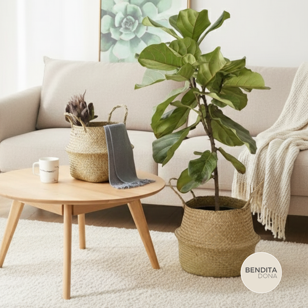 Cesto de Palha Natural- Nesty