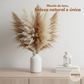 Buquê de Capim dos Pampas Natural e Desidratado - Canyon