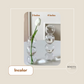 Vaso Decorativo de Vidro -  Bubble